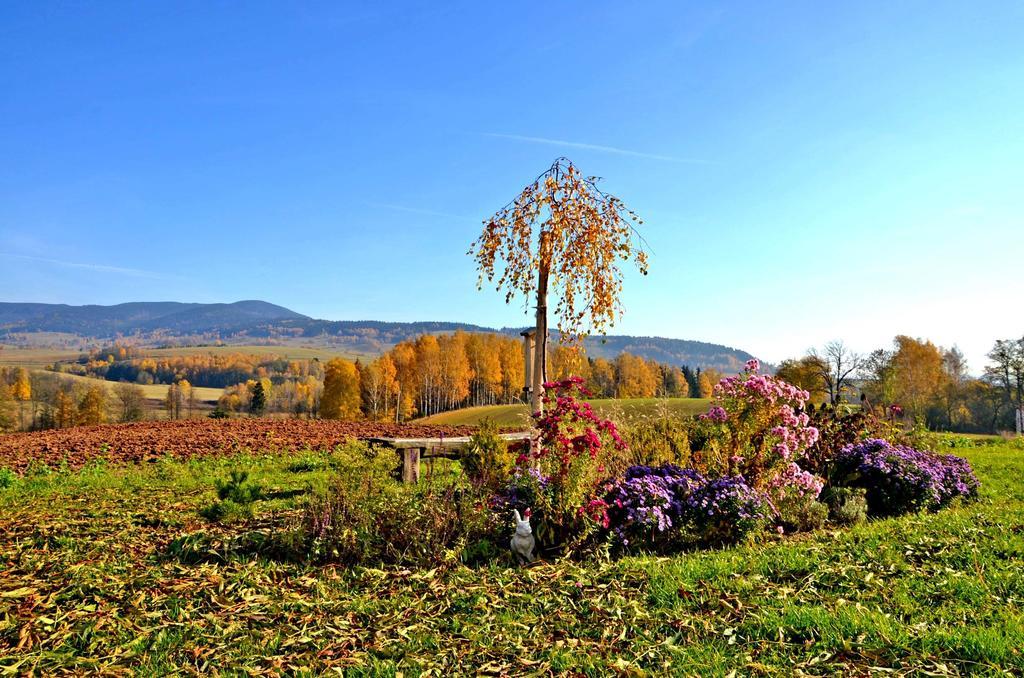 Penzion Na Cervenem Potoce Králíky Bagian luar foto