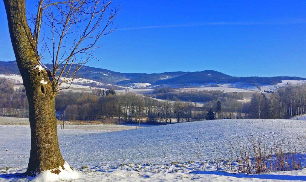 Penzion Na Cervenem Potoce Králíky Bagian luar foto